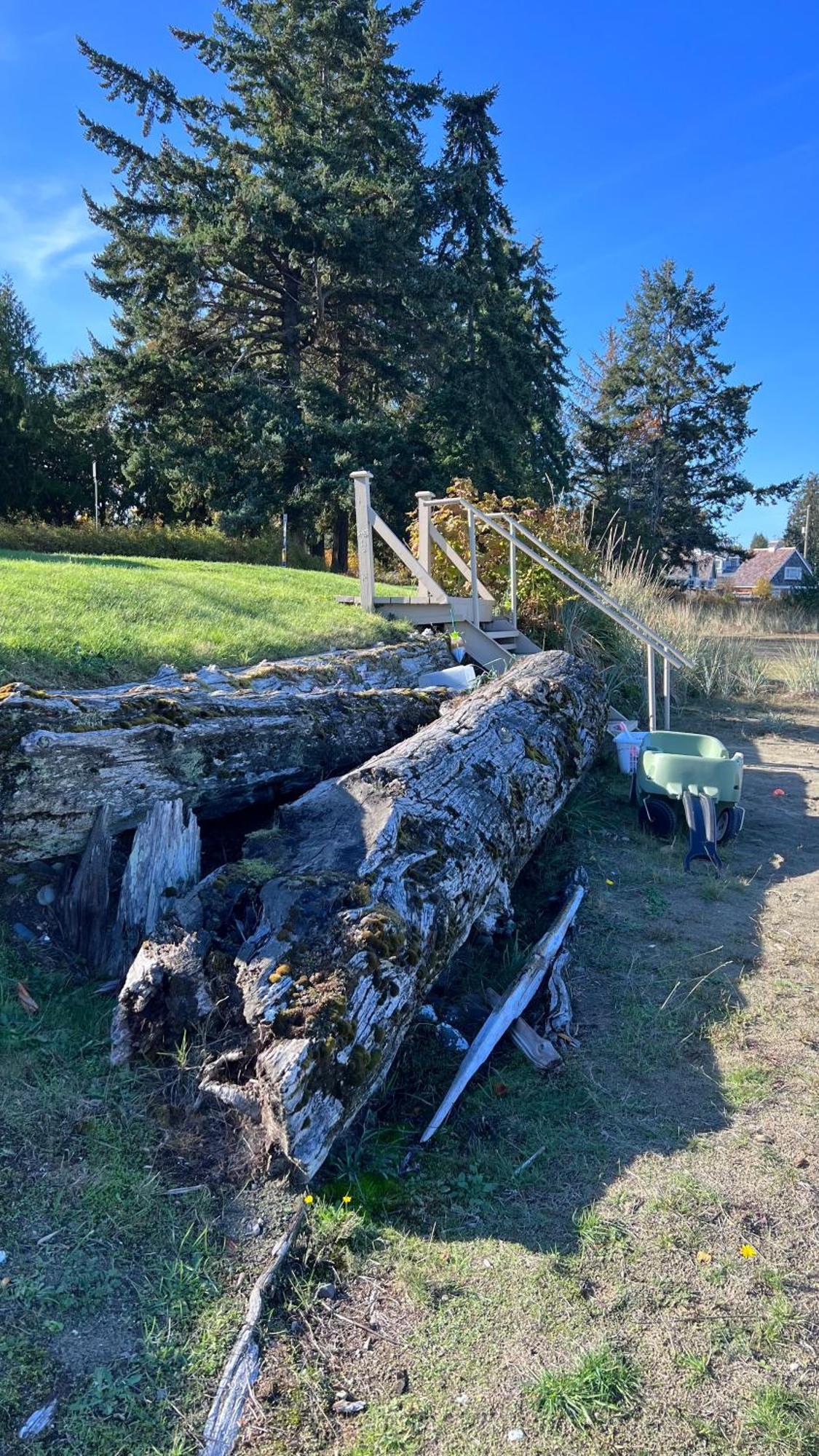 Shorewater Resort Qualicum Beach Eksteriør bilde