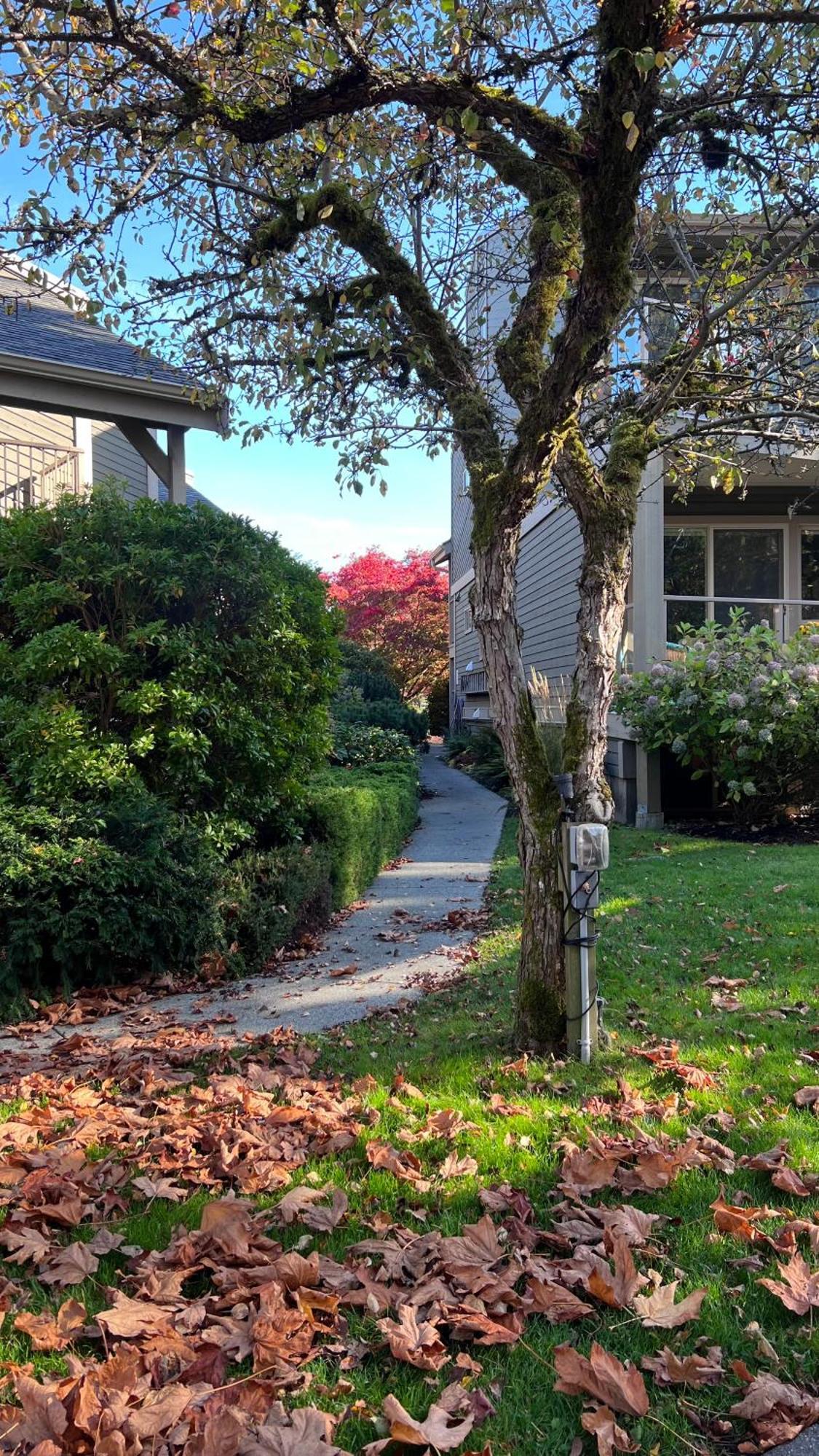 Shorewater Resort Qualicum Beach Eksteriør bilde
